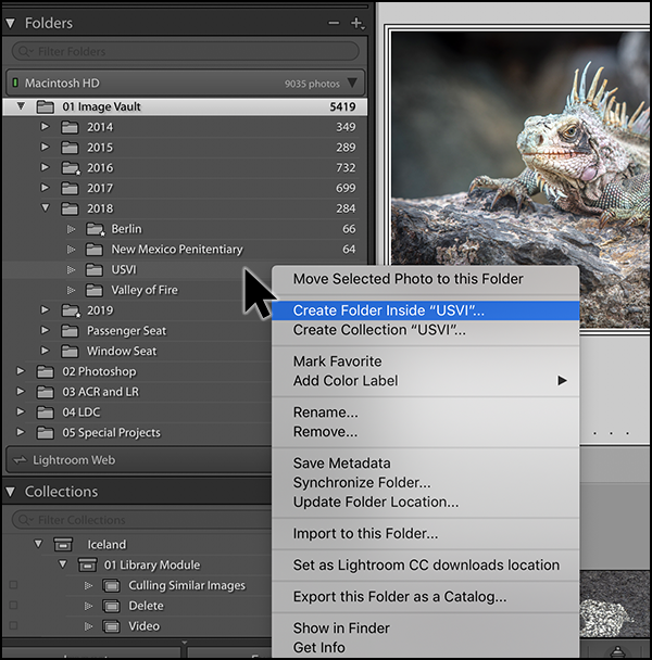 julieanne-kost-s-blog-the-easy-way-to-create-subfolders-in-lightroom