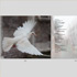 Advanced Book Features in Lightroom 4