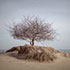 Lightroom 5 — Top 10 Hidden Gems