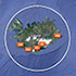 Viewing Images on a Map
