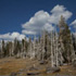 What's New in Lightroom 3