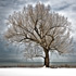 Merge to HDR Pro and Tone Mapping