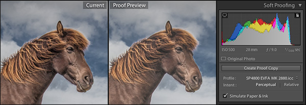 Soft proofing lightroom что это