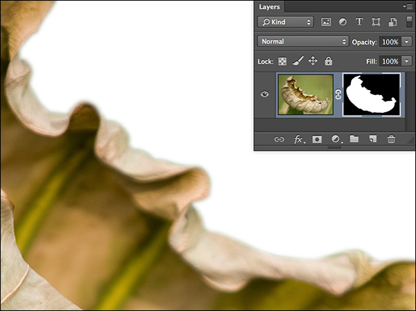 Julieanne Kost's Blog | Refining Edge of a Mask in Photoshop