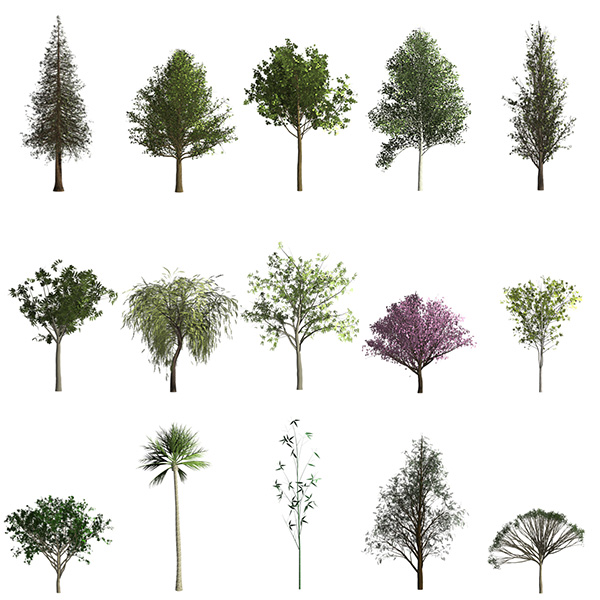 Julieanne Kost S Blog Creating Trees In Photoshop   2014 12Trees600 