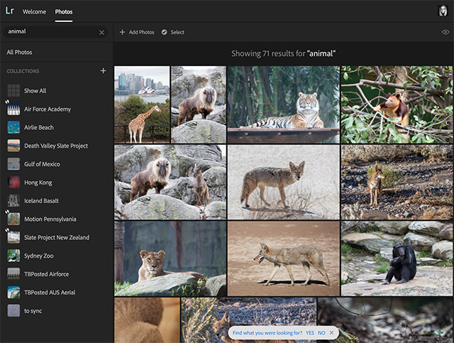 lightroom web