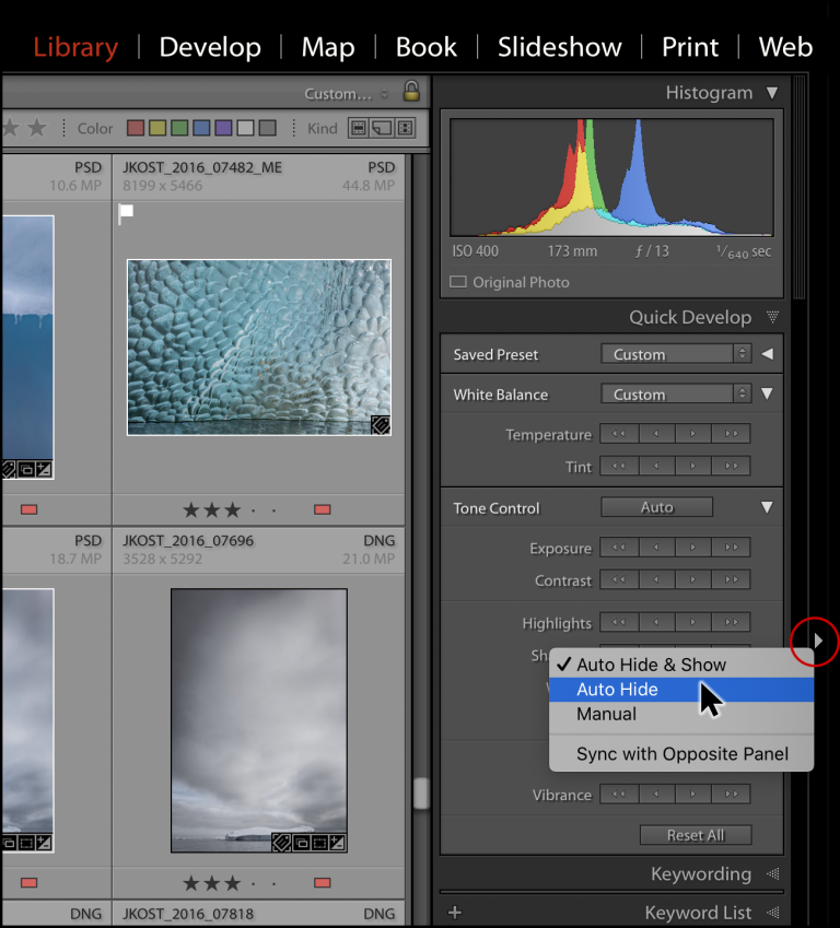 Julieanne Kost's Blog | Tips for Working in the Develop Module in ...