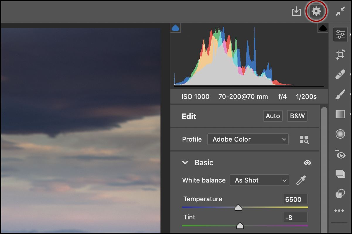 camera raw vs lightroom