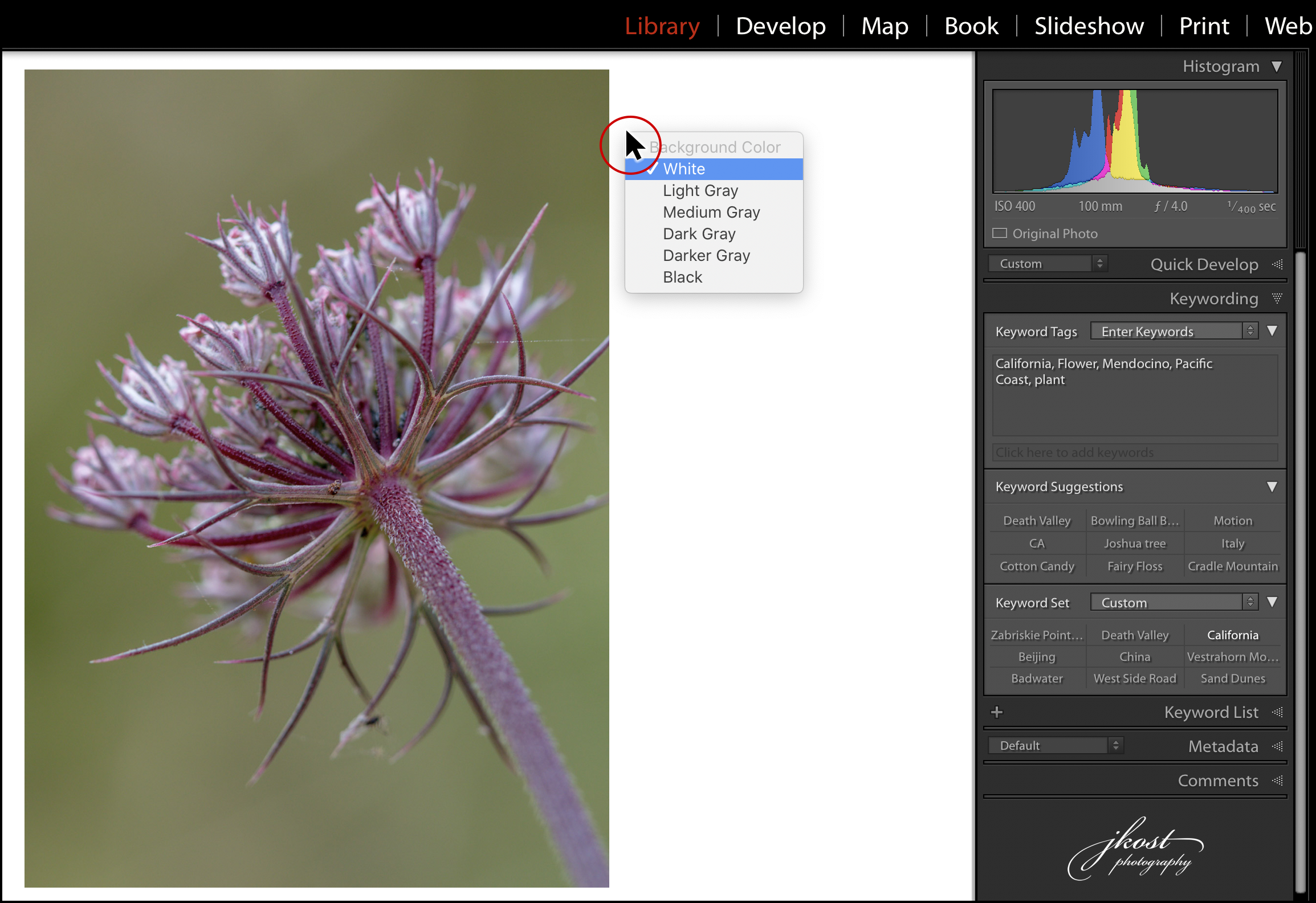 Julieanne Kost's Blog | Customizing View Options in Lightroom Classic