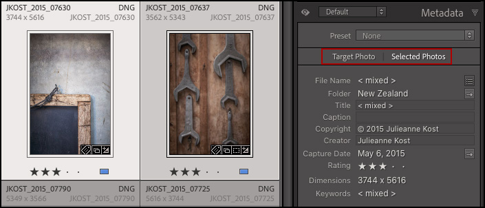 julieanne-kost-s-blog-master-the-metadata-panel-in-lightroom-classic