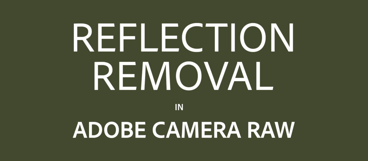 Julieanne Kost's Blog | Reflection Removal in Adobe Camera Raw (Tech ...