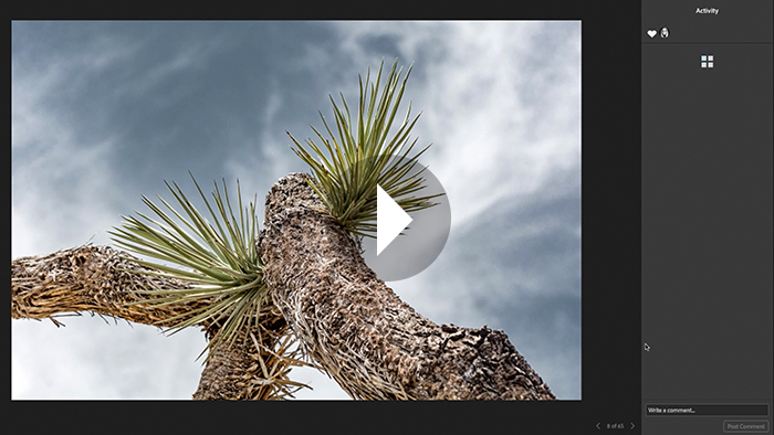 Lightroom Tutorials By Julieanne Kost